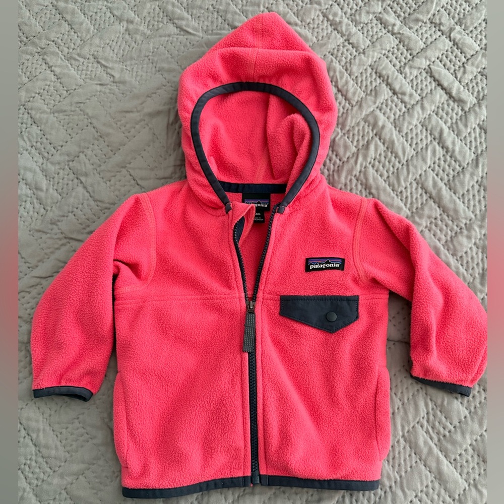 Patagonia Micro D Snap-T Fleece Jacket